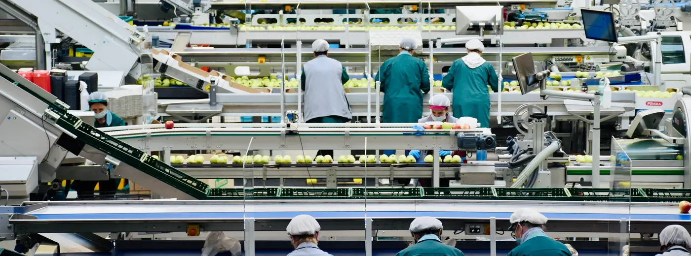 Programmamanagement bij FIT2030 en SOL